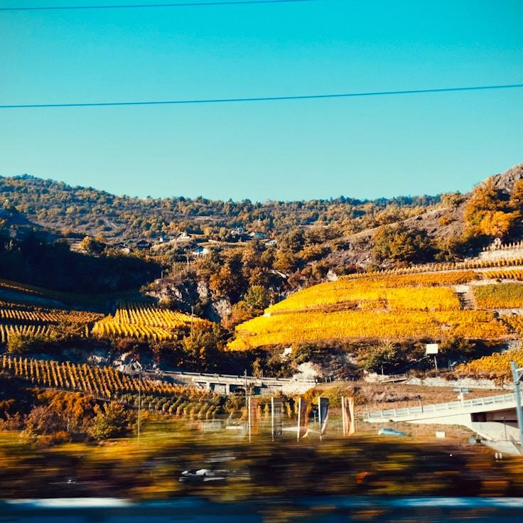 Outdoor terrace seating suitable for families in Rome